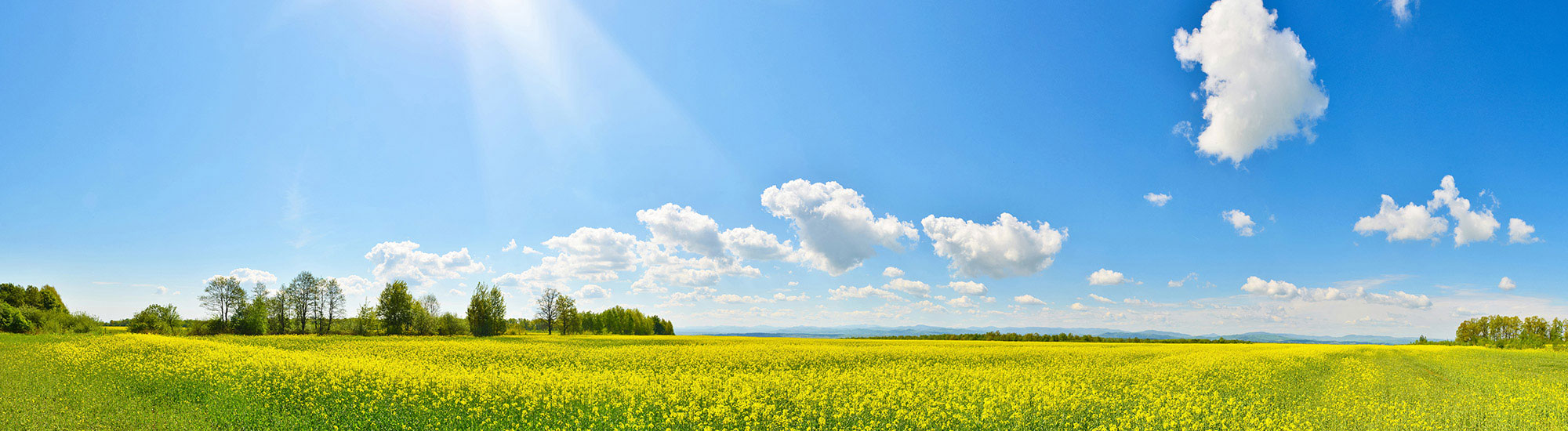 Slide background